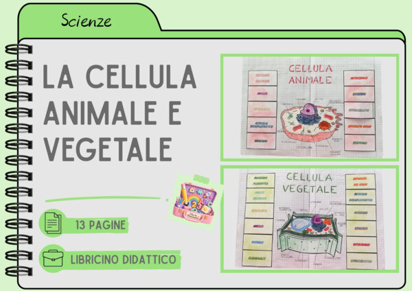 CELLULA ANIMALE E VEGETALE MODELLO APRIBILE