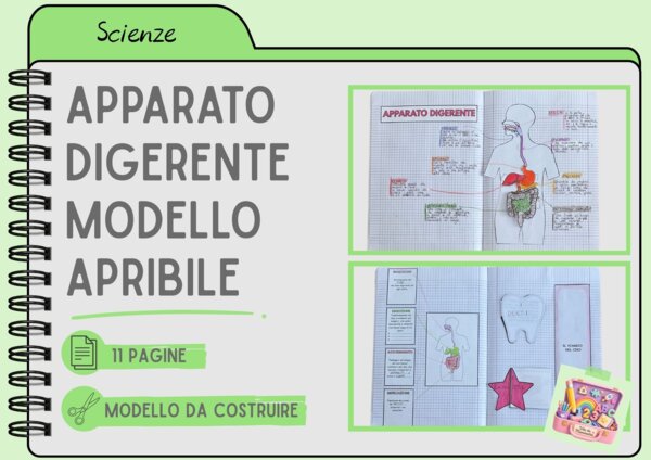 APPARATO DIGERENTE - MODELLO APRIBILE