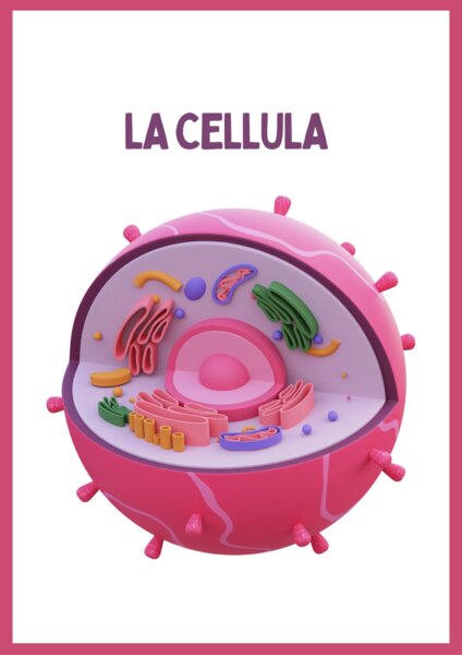 la cellula-cruciverba