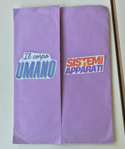 Lapbook "Sistemi e apparati del corpo umano" - classe quinta primaria