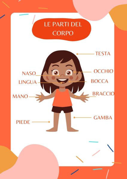 Il Corpo Umano e il Viso - Mini Quaderno Operativo Scienze - Classe Prima