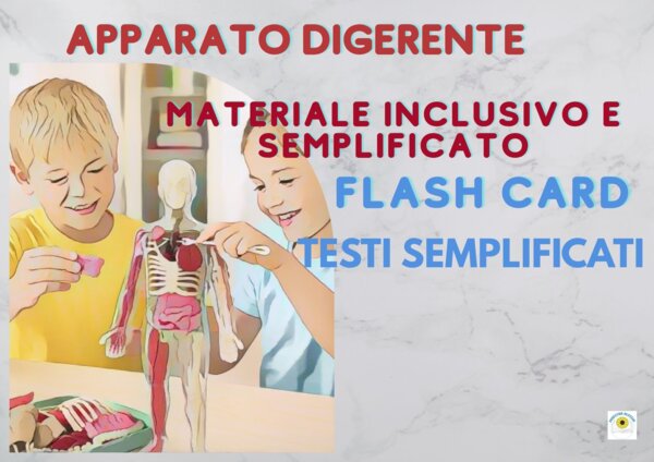 APPARATO DIGERENTE