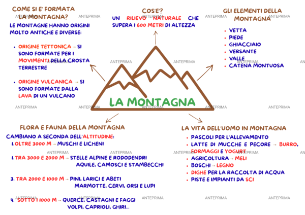 Mappa concettuale_ "la montagna"_ cl. 3^ primaria