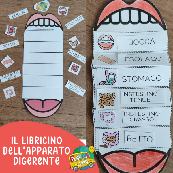 LIBRICINO APPARATO DIGERENTE