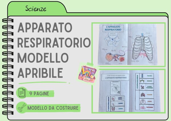 APPARATO RESPIRATORIO - MODELLO APRIBILE