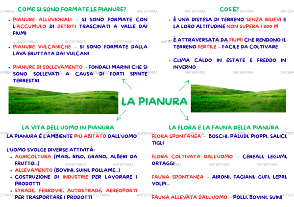 Mappa concettuale_ "la pianura"_ cl. 3^ primaria