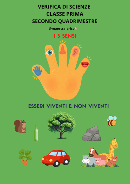VERIFICA DI SCIENZE CLASSE PRIMA