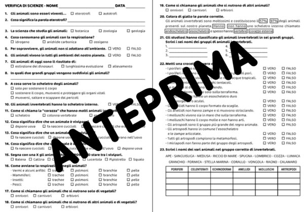 SCIENZE - VERIFICA SUGLI ANIMALI INVERTEBRATI CLASSE QUARTA SCUOLA PRIMARIA