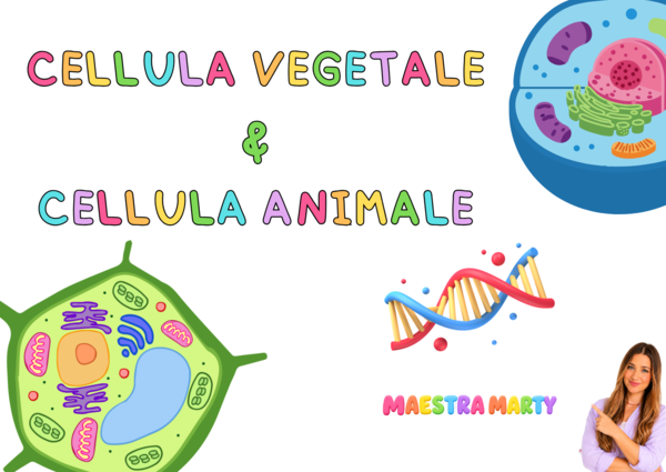 LE CELLULE: vegetale e animale