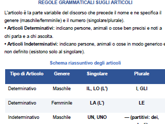 GLI ARTICOLI