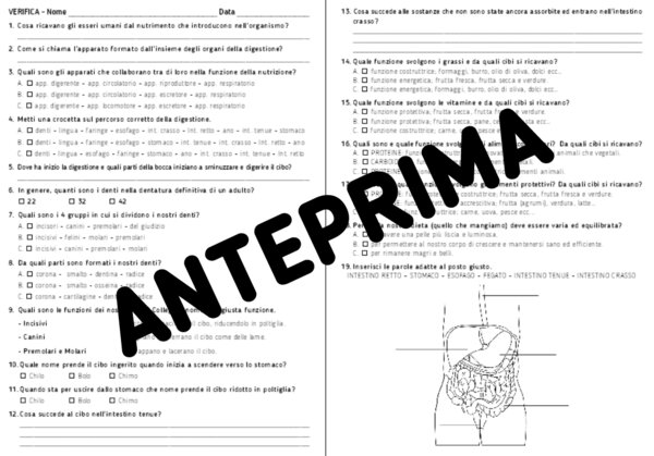 VERIFICA SULL'APPARATO DIGERENTE - CLASSE QUINTA - SCUOLA PRIMARIA