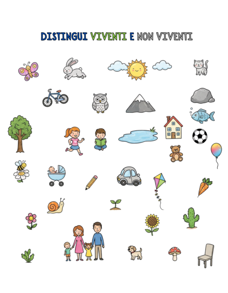 Classe Seconda Prerequisiti Scienze - Esseri Viventi e non - Animali/Vegetali
