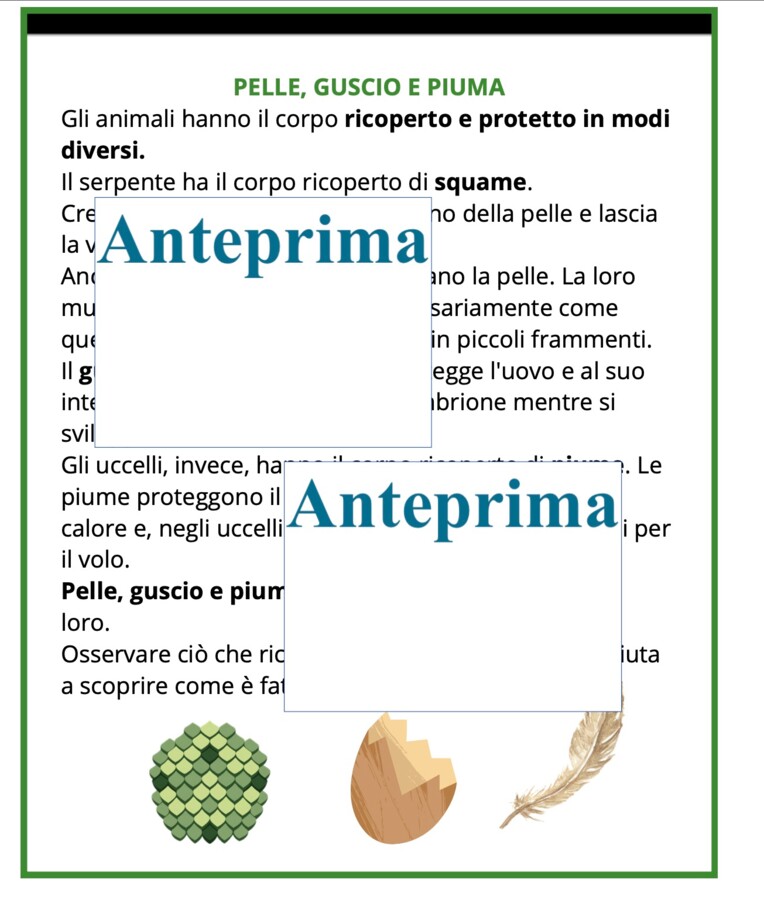 La muta dei rettili-cambiare pelle per crescere;percorso Montessori di osservazione, lettura scientifica, nomenclatura e scoperta