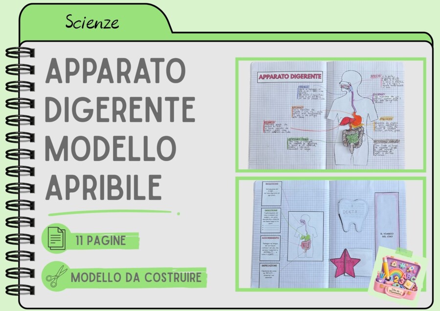 APPARATO DIGERENTE - MODELLO APRIBILE