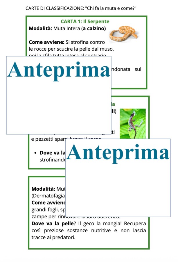 La muta dei rettili-cambiare pelle per crescere;percorso Montessori di osservazione, lettura scientifica, nomenclatura e scoperta