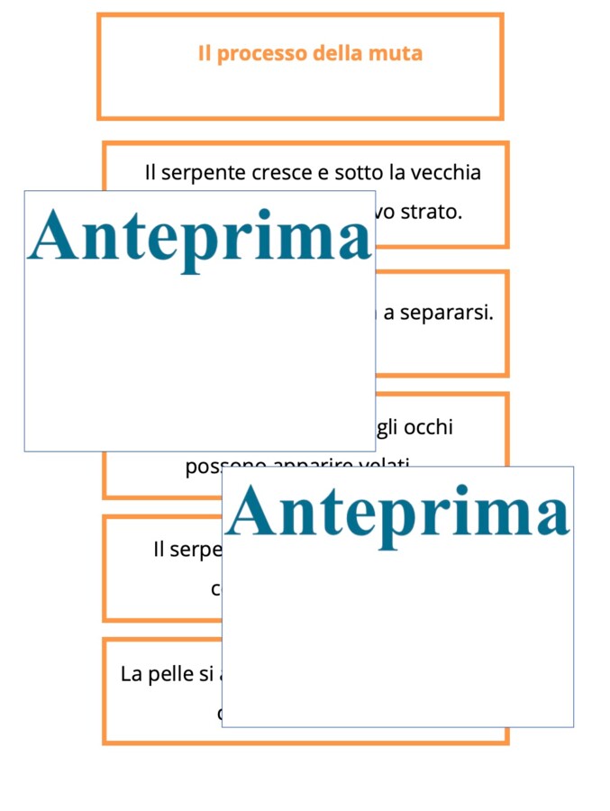 La muta dei rettili-cambiare pelle per crescere;percorso Montessori di osservazione, lettura scientifica, nomenclatura e scoperta