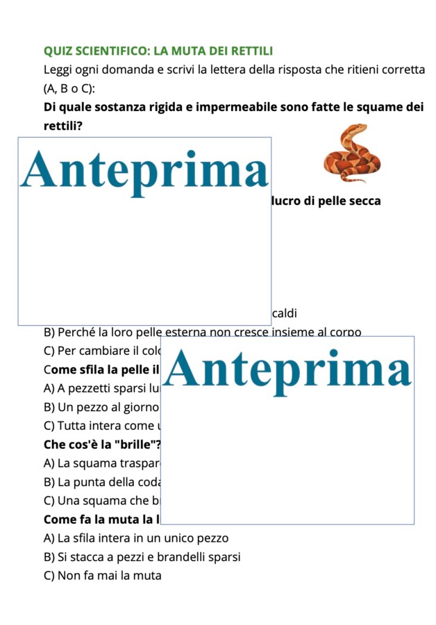 La muta dei rettili-cambiare pelle per crescere;percorso Montessori di osservazione, lettura scientifica, nomenclatura e scoperta