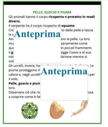 La muta dei rettili-cambiare pelle per crescere;percorso Montessori di osservazione, lettura scientifica, nomenclatura e scoperta