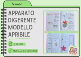 APPARATO DIGERENTE - MODELLO APRIBILE