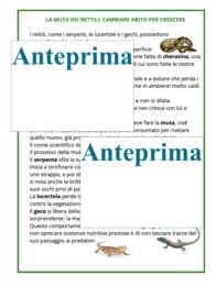 La muta dei rettili-cambiare pelle per crescere;percorso Montessori di osservazione, lettura scientifica, nomenclatura e scoperta