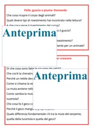 La muta dei rettili-cambiare pelle per crescere;percorso Montessori di osservazione, lettura scientifica, nomenclatura e scoperta