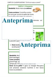 La muta dei rettili-cambiare pelle per crescere;percorso Montessori di osservazione, lettura scientifica, nomenclatura e scoperta