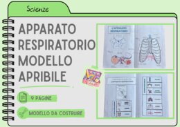 APPARATO RESPIRATORIO - MODELLO APRIBILE