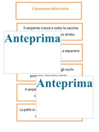 La muta dei rettili-cambiare pelle per crescere;percorso Montessori di osservazione, lettura scientifica, nomenclatura e scoperta