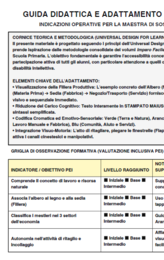 L'Economia e i Settori Lavorativi - Kit Inclusivo UDL con Lapbook Flap, Flashcards e Verifica PEI (Classe 5ª)
