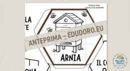 Lapbook Favo delle Api – Attività Interattiva per la Giornata Mondiale delle Api (20 Maggio)