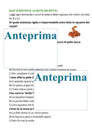 La muta dei rettili-cambiare pelle per crescere;percorso Montessori di osservazione, lettura scientifica, nomenclatura e scoperta