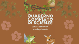 Quaderno completo di scienze classe seconda