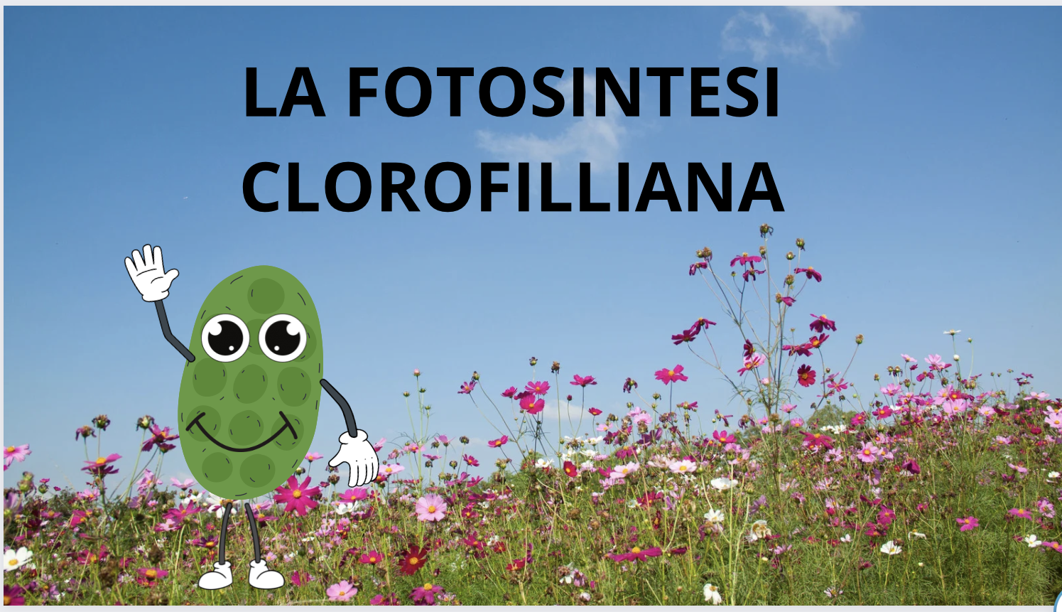 La fotosintesi clorofilliana • Edudoro