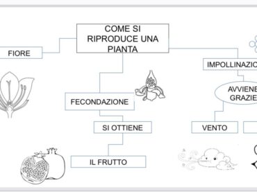 libro • Page 4 of 4 • Edudoro. Compra e vendi materiale educativo