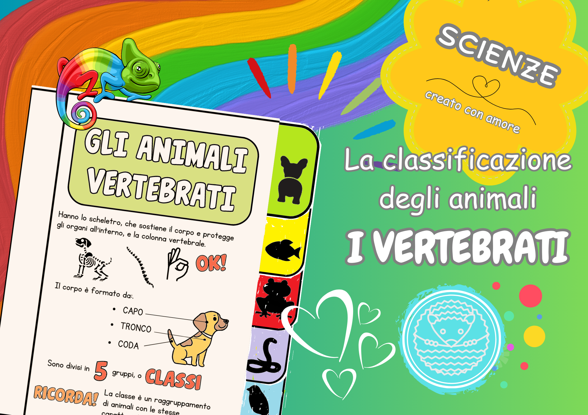 La Classificazione Degli Animali VERTEBRATI • Edudoro