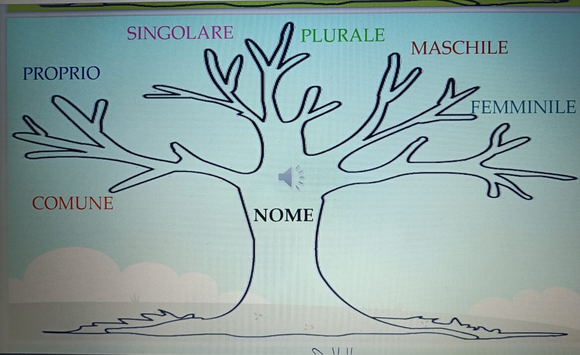 L'albero del Nome. Presentazione nelle diverse sotto-categorie.