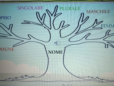 L'albero del Nome. Presentazione nelle diverse sotto-categorie.