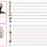 Vocabulary Enrichment Set: Pets SET 2