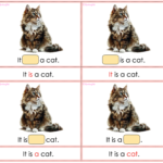 ‘It is’ vs. ‘They are’ multiple choice cards with PETS vocabDigitale