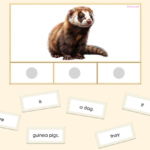 ‘It is’ vs. ‘They are’ multiple choice cards with PETS vocabDigitale