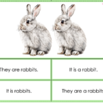 ‘It is’ vs. ‘They are’ sentence making cards with Pets vocabDigitale