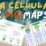 Circulatory System: percorso Clil di ScienzeDigitale