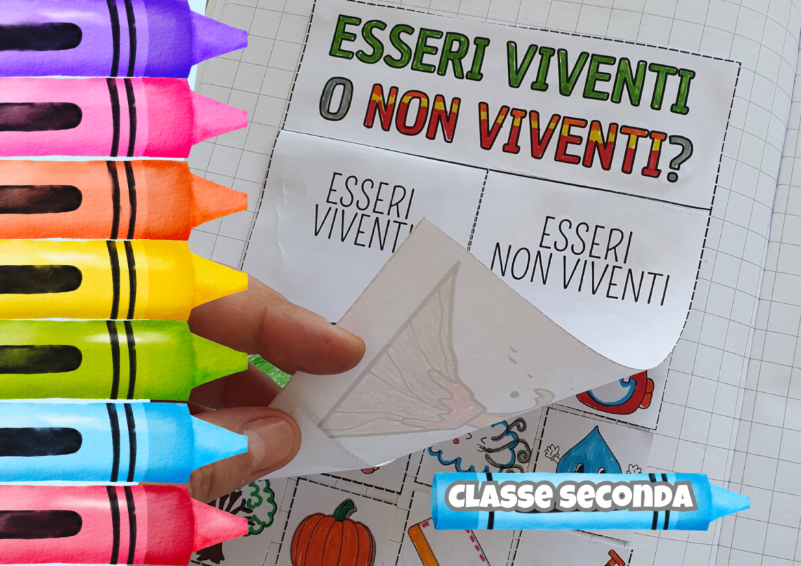 Flipbook sulla Classificazione di Esseri Viventi e Non Viventi