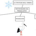 Diagramma del vulcano POPUPDigitale