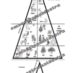 GEOGRAFIA: schema finale di ripasso sul concetto di geografia, sul geografo e i suoi aiutantiDigitale