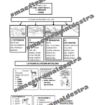 Schemi sulla PIANURA (Geografia)Digitale