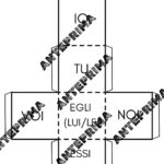 Schede didattiche sulla divisione in sillabe scuola primariaDigitale