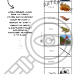 Flashcards vocali e consonantiDigitale