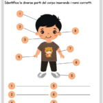 Lapbook sui Sumeri in PDF – Classe quartaDigitale