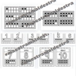 KIT QUADERNI PRIMI GIORNI MATEMATICA – SCIENZE, ITALIANO – STORIA Classe 1Digitale